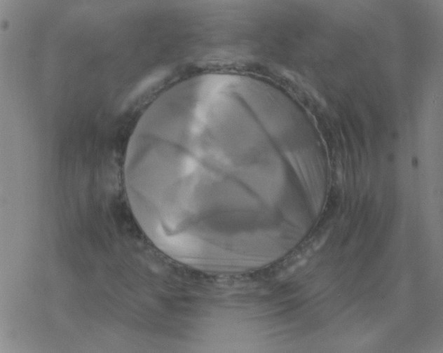 X0000076331350200610272019
