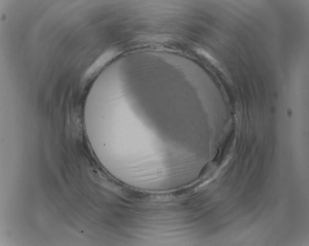 X0000076331354200610272019