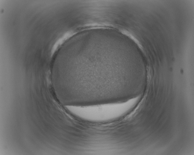 X0000076331357200610272019