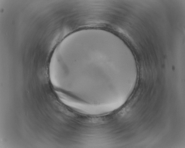 X0000076331362200610272019