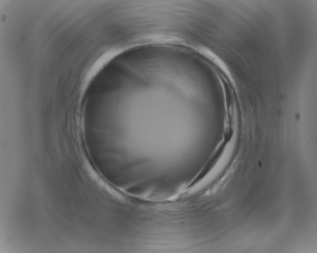 X0000076331381200610272018