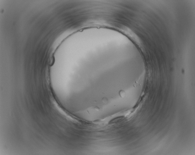 X0000076331382200610272018