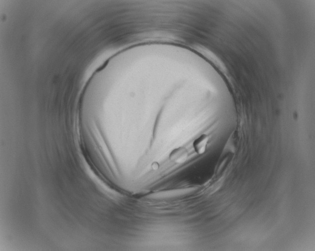 X0000076331391200610272018