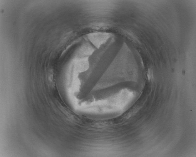X0000076331396200610272017