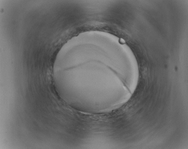 X0000076331397200610272017