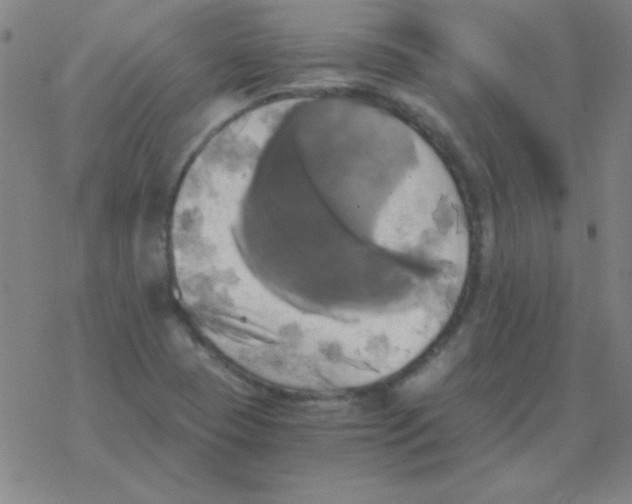 X0000076331409200610272018