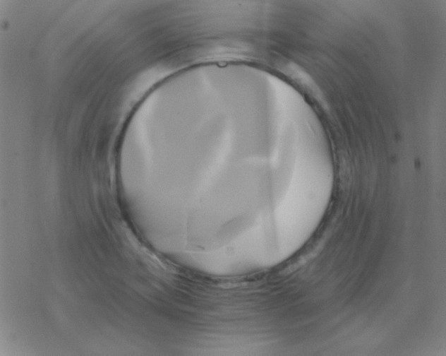 X0000076331419200610272018