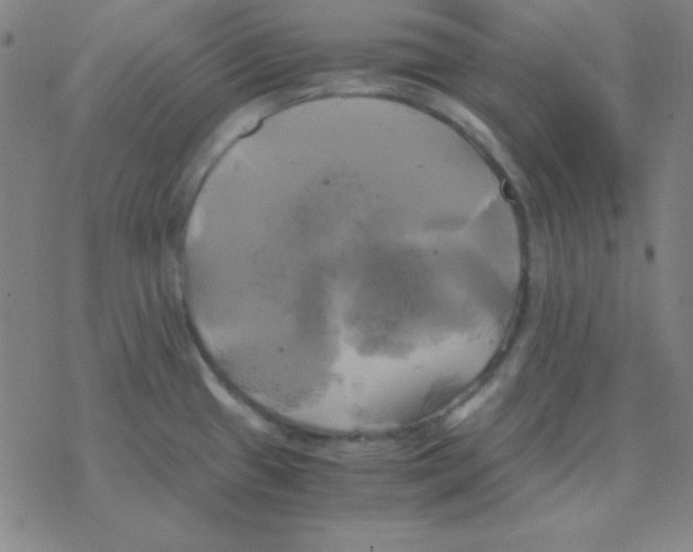 X0000076331433200610272018