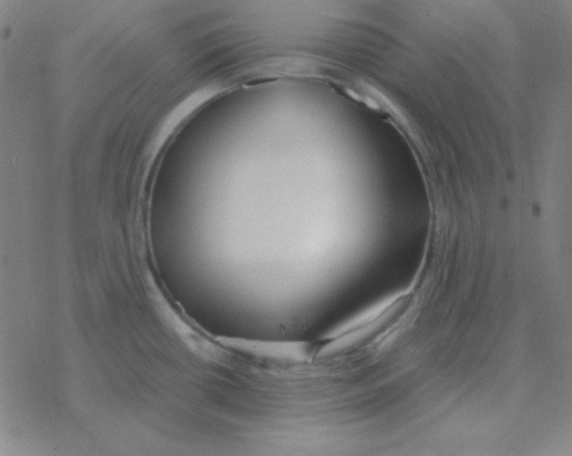 X0000076331434200610272018