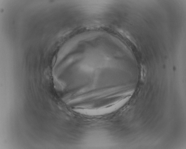 X0000076331445200610272017