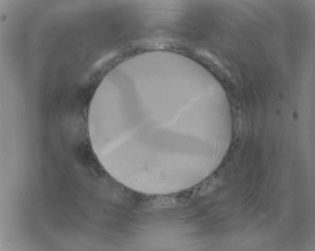 X0000076331446200610272017