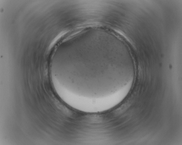 X0000076331450200610272017
