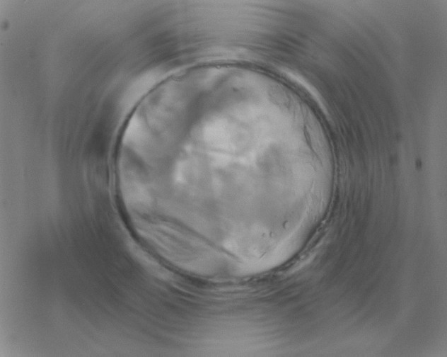 X0000076331467200610272017