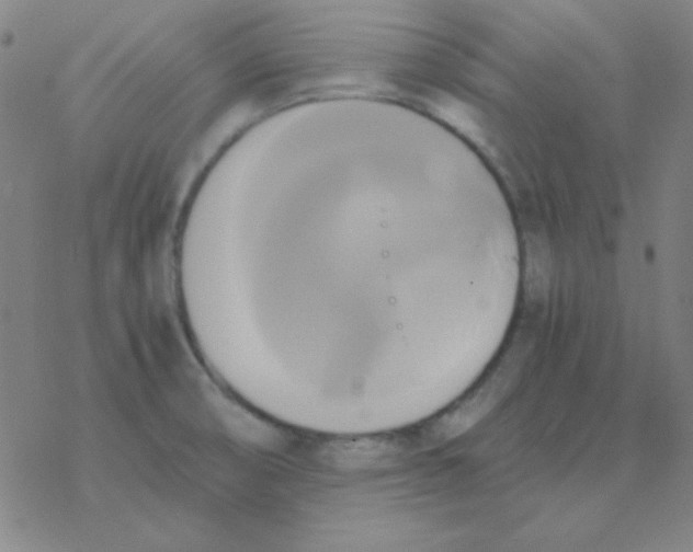 X0000076331474200610272017