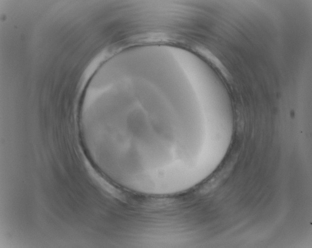 X0000076331475200610272017