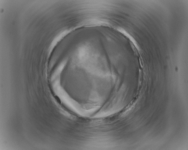 X0000076331477200610272017