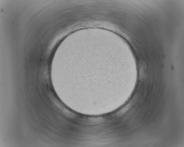 X0000076331498200610272016