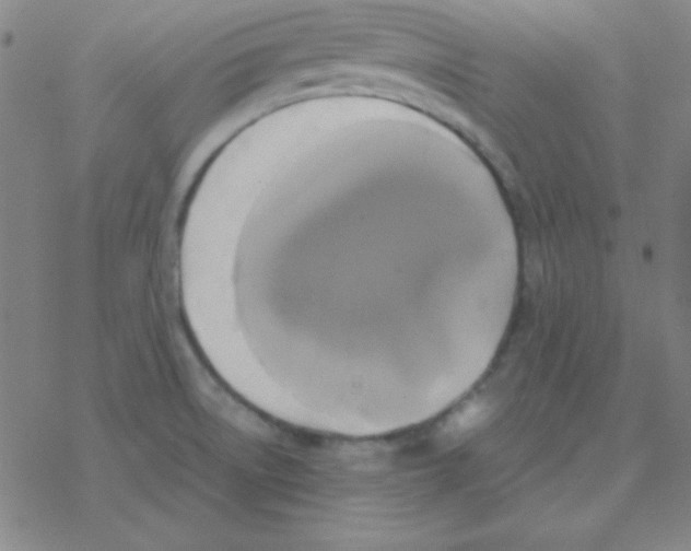 X0000076331522200610272016