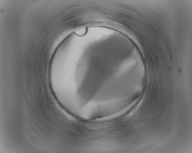 X0000076331533200610272017