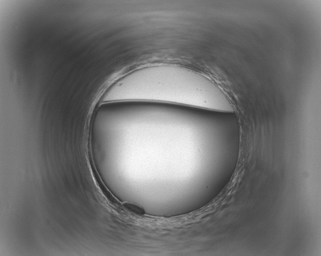 X0000076340003200609290931