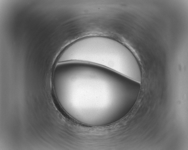 X0000076340011200609290931