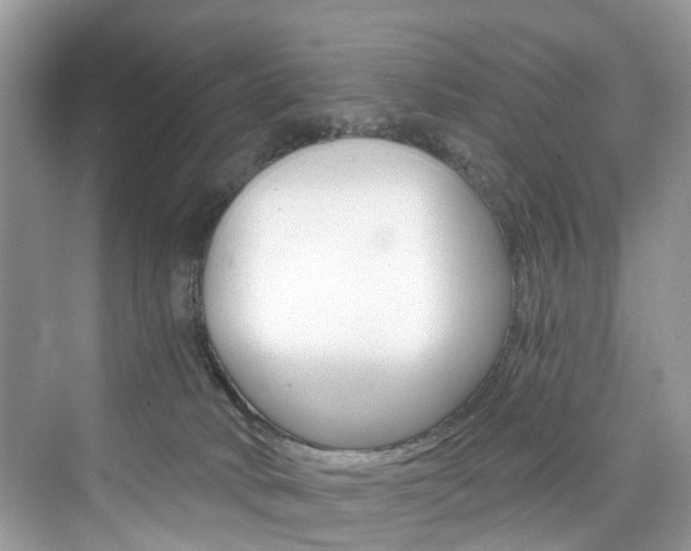 X0000076340034200609290930