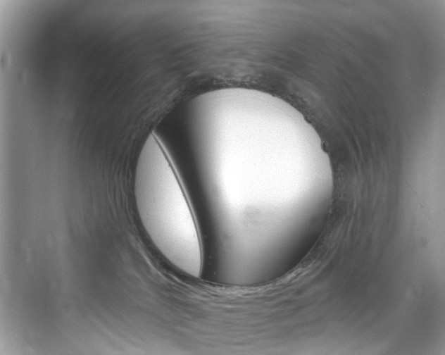 X0000076340040200609290930