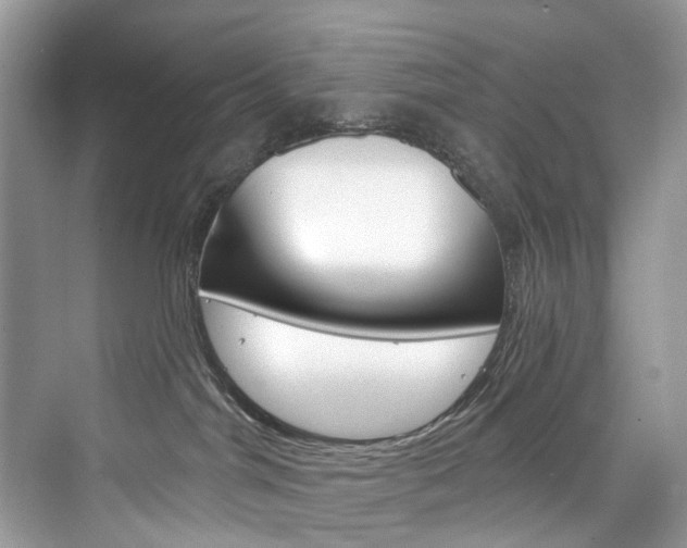X0000076340044200609290930