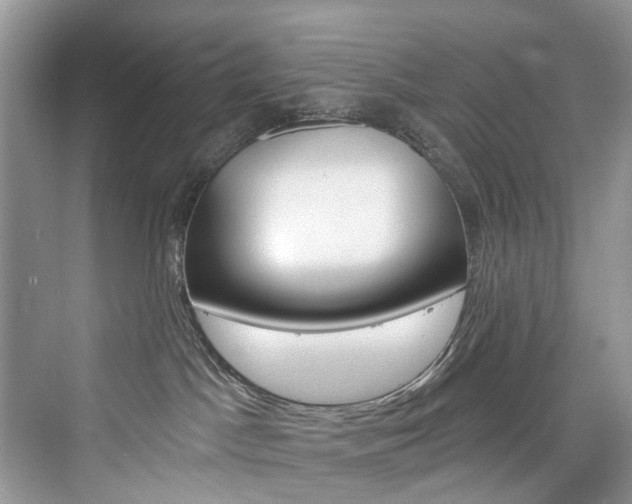 X0000076340045200609290930