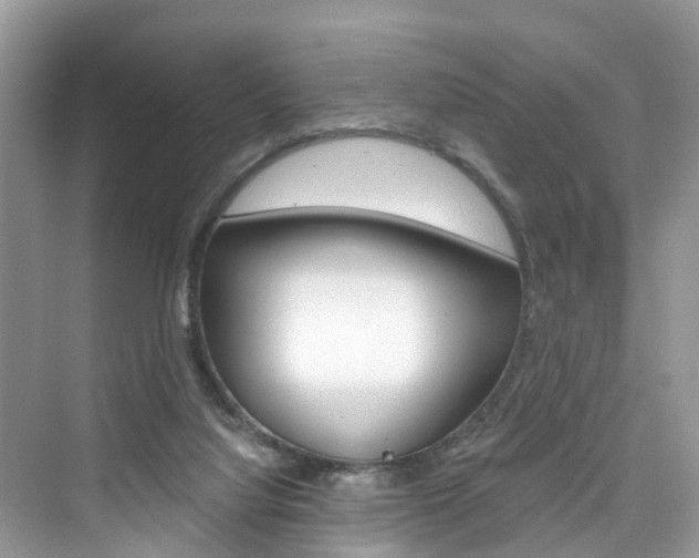 X0000076340068200609290929