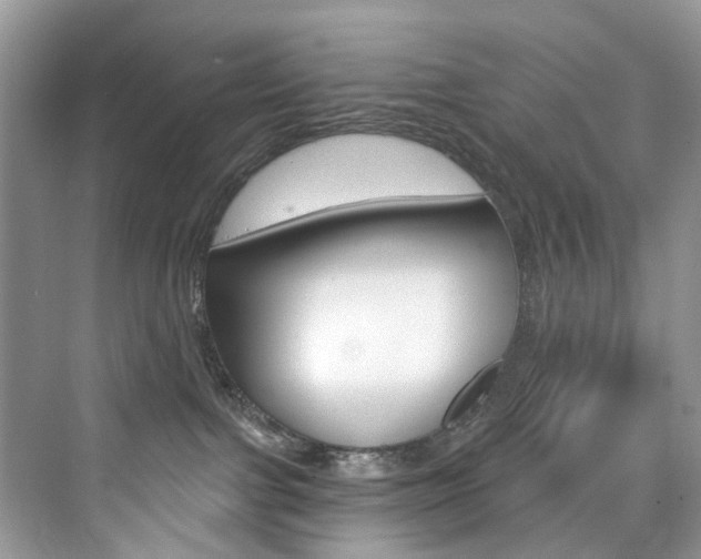 X0000076340091200609290930