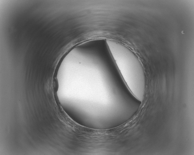 X0000076340099200609290929