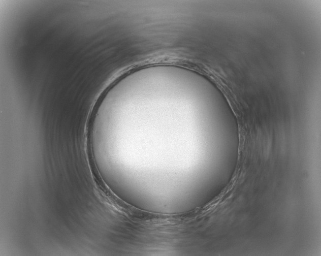 X0000076340100200609290929