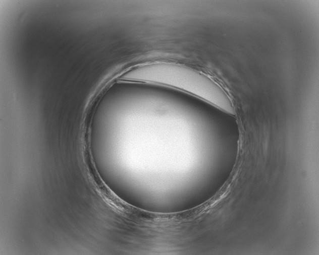 X0000076340101200609290929