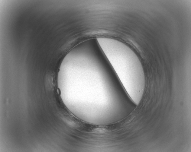 X0000076340119200609290929