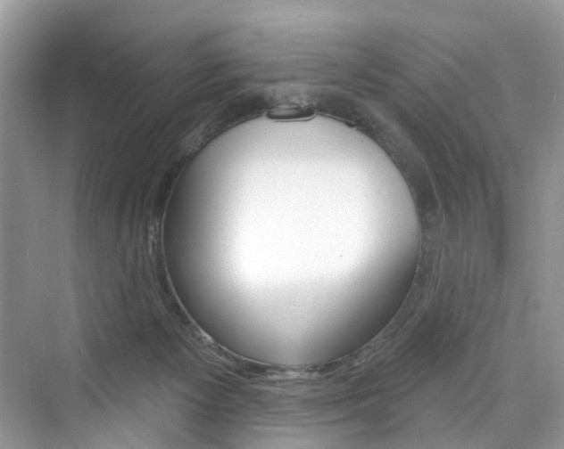 X0000076340125200609290929
