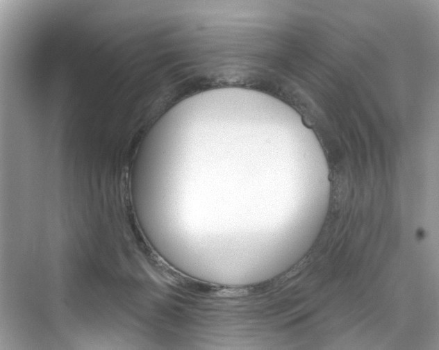X0000076340126200609290929