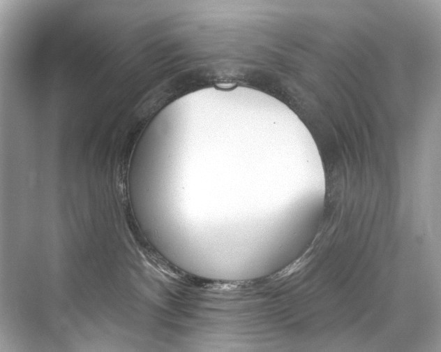 X0000076340140200609290928