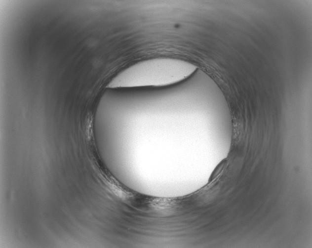 X0000076340142200609290928