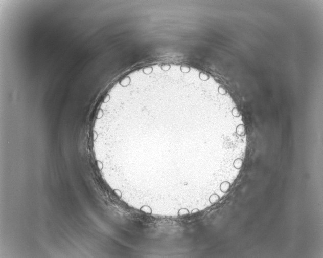 X0000076340146200609290927