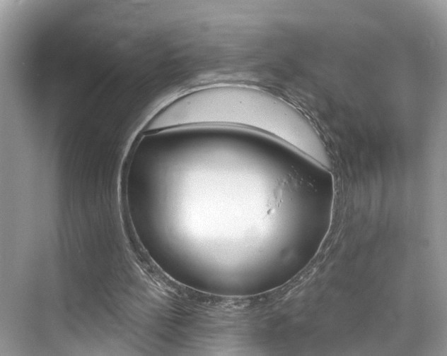X0000076340148200609290928