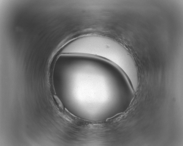 X0000076340150200609290928