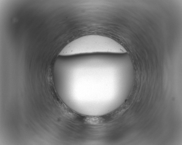 X0000076340181200609290928