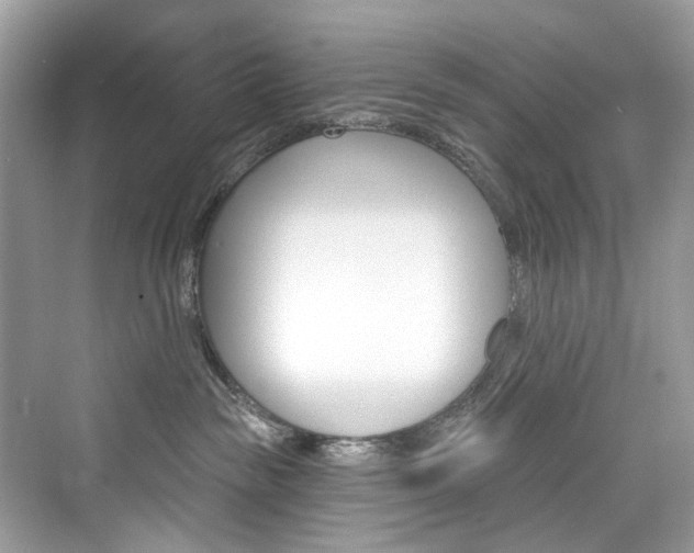 X0000076340189200609290928