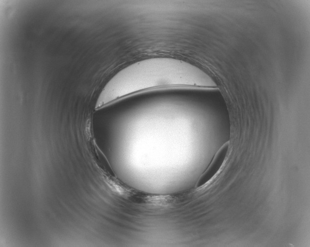X0000076340192200609290928