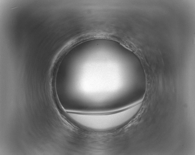 X0000076340197200609290927