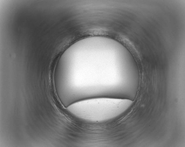 X0000076340202200609290927