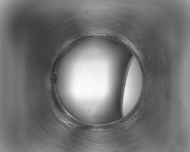 X0000076340203200609290927