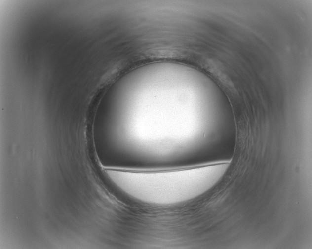 X0000076340207200609290927