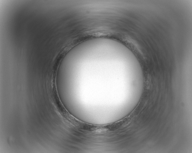 X0000076340210200609290927